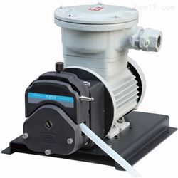 FG601S-A3防爆电机工业大液量蠕动泵变频器调速正反转