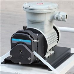 FG601S-A3化工车间液体大流量13升防爆电机软管蠕动泵