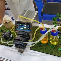 定时分装蠕动泵 BT300L实验室恒流泵