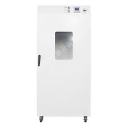 BGZ-420科研实验室电热恒温鼓风干燥箱250度