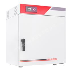 立式电热鼓风干燥箱300度定时GZX-9306MBE
