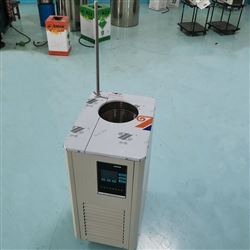 5L低温循环泵 零下20度冷却循环机