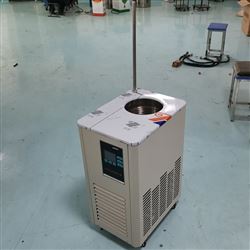 DLSB-30/120冷却循环机 30L低温循环泵