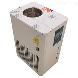 5L冷却循环机DLSB-5/20低温循环泵